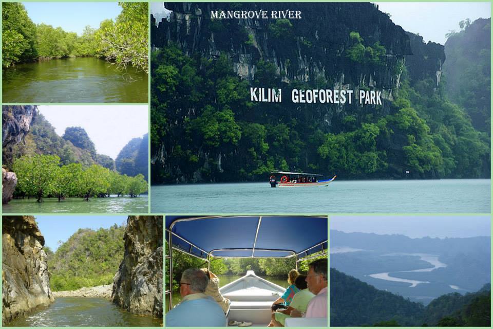 langkawi mangrove tour package